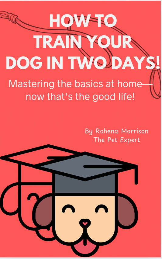 How to Train Your Dog in Two Days